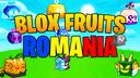 Discovery splash banner for Blox Fruits Romania Discord server