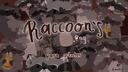 Discovery splash banner for Raccoon’s.png﹕ 🦝﹕ Discord server