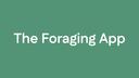 Discovery splash banner for Gather: Foraging App Community Discord server