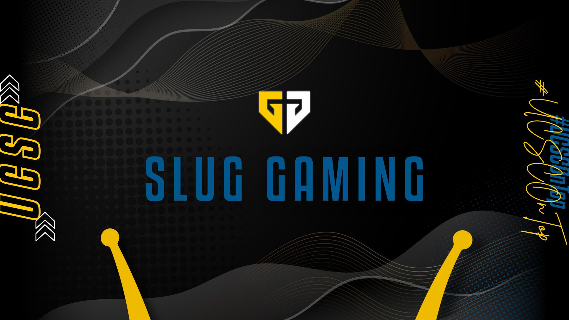 Discovery splash banner for Slug Gaming Discord server