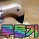 Discovery icon for 🎉 루둘기 서버 Discord server