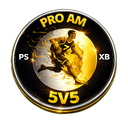 Discovery icon for PRO AM 5V5 LEAGUE Discord server