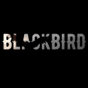 Discovery icon for BLACKBIRD RP Discord server