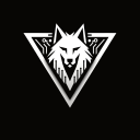 Discovery icon for BORZ NOXUS CLAN Discord server