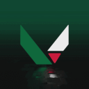 Discovery icon for VALORANT DZ Discord server