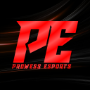 Discovery icon for PROWESS ESPORTS 🇮🇳 Discord server