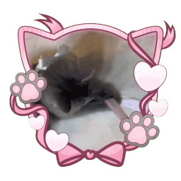 Discovery icon for ᡣ𐭩ྀིྀ ℳeowie ⑅ 𝒮ocial ⑅ 𝒢iveaway's ⑅ 𝒟ecor Discord server