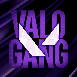 Discovery icon for VALORANT GANG Discord server
