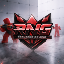 Discovery icon for RNG - Rivals Discord server