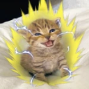 Discovery icon for Cat Fighting Games Discord server