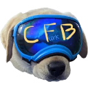 Discovery icon for CFBcord Discord server
