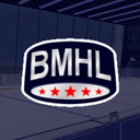 Discovery icon for The Official BMHL Discord Server Discord server