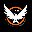 Discovery icon for Tom Clancy's The Division Discord server