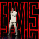 Discovery icon for Elvis Fans ⚡ Discord server