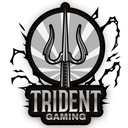 Discovery icon for TRIDENT GAMING Discord server
