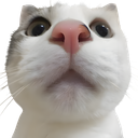 Discovery icon for BOOBA ✦ SAGA Discord server