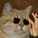 Discovery icon for Tom's Lounge with CATS Discord server