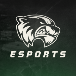 Discovery icon for Utah Valley Esports & Gaming Den Discord server