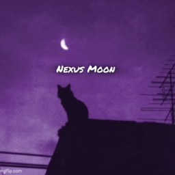 Discovery icon for Nexus Moon Discord server