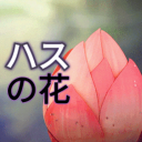 Discovery icon for Hasu No Hana ๐ชท(ใในใฎ่ฑ) | Mudae โ Karuta โ Games Discord server