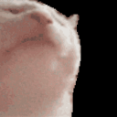 Discovery icon for Snerver Discord server