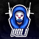 Discovery icon for VOLI COMMUNITY Discord server