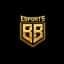 Discovery icon for BB eSports Discord server
