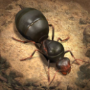 Discovery icon for The Ants Official Discord server