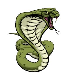 Discovery icon for ChriSnake Discord server