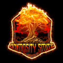 Discovery icon for Animosity Amateur Smite League Discord server
