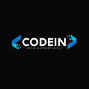 Discovery icon for CODEIN Discord server