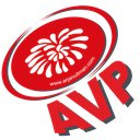 Discovery icon for AVP Vuurwerk Discord server