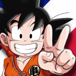 Discovery icon for Dragon Ball FR Discord server