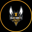 Discovery icon for Golden Hornets Discord server
