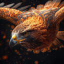 Discovery icon for Free Hawks Discord server