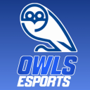 Discovery icon for THE OWLS ESPORTS COMMUNITY Discord server